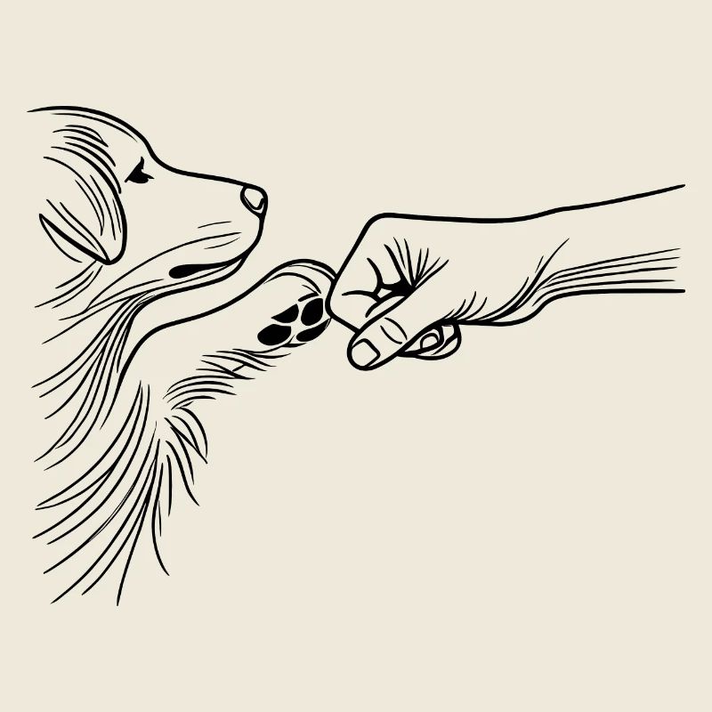 Hund und Mensch Bindung Fauststoß Bester Freund