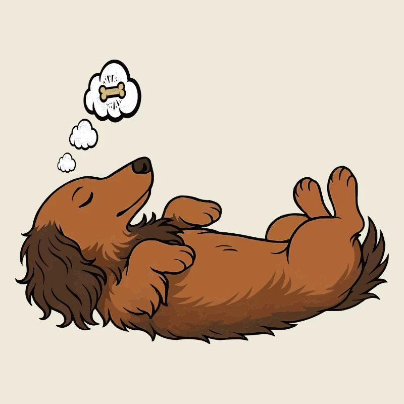 Long-haired Dachshund Dachshund Holder Dachshund Tekkel
