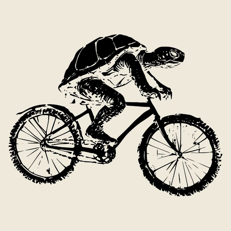 Bicycle Turtle