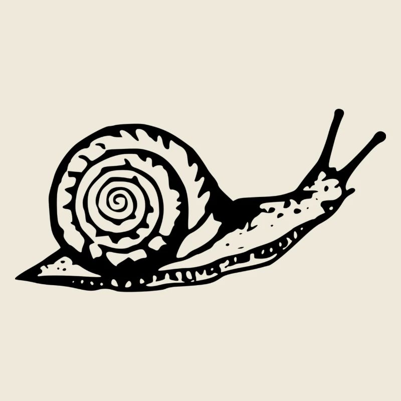 Snail black and withe