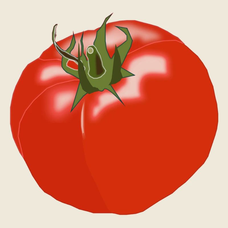 tomate tomates tomate légume vegetables5