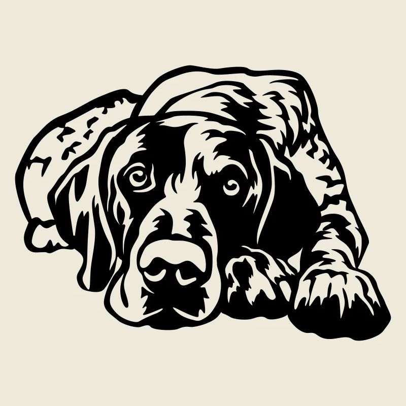 German Shorthaired Pointer