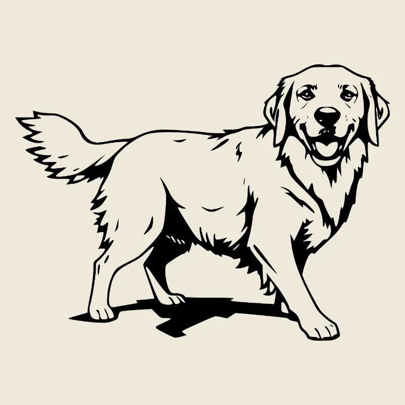 Golden Retriever schwarz 