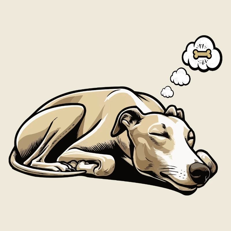 Whippet Greyhound Whippets Propriétaire de lévrier