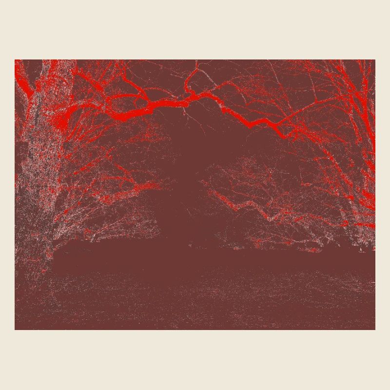 Forêt de Nuages Rouges – Forêt abstraite