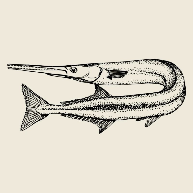 Fisch