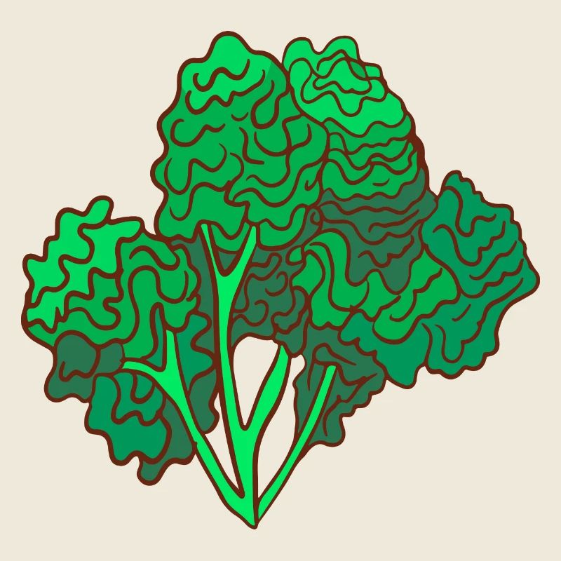 kale brown cabbage Cabbage Cabbage