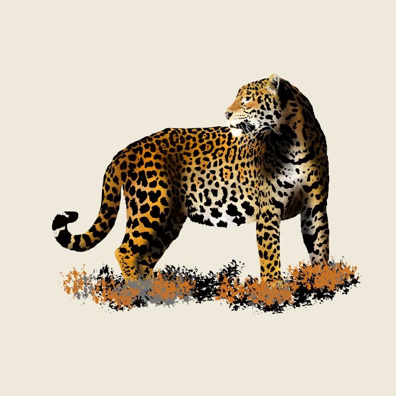leopard