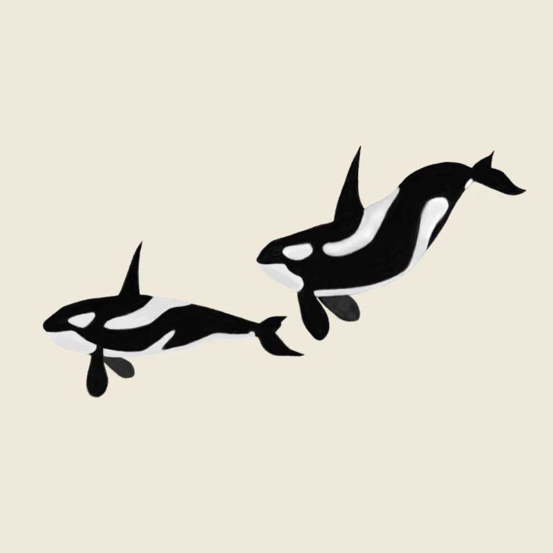 Orcas