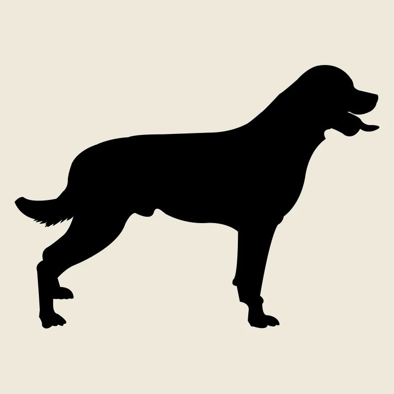 Chien