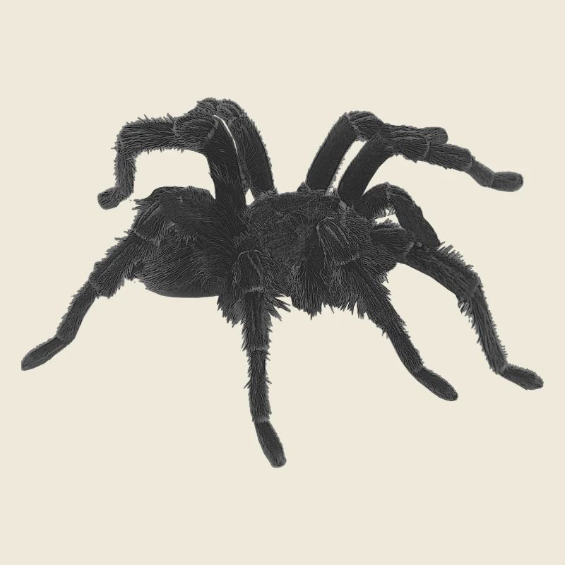 Tarantel design, geburtstagsgeschenk Mann, goth