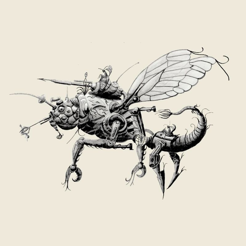 Robot insect