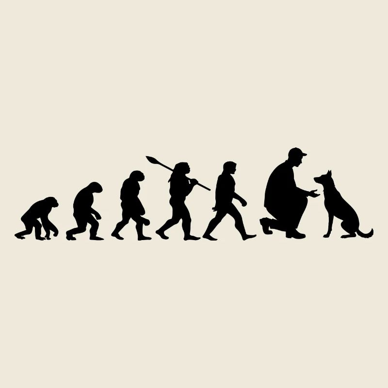 Evolution Funny Belgian Malinois Shepherd Dog