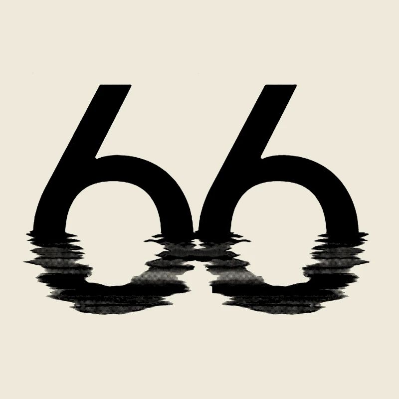 66