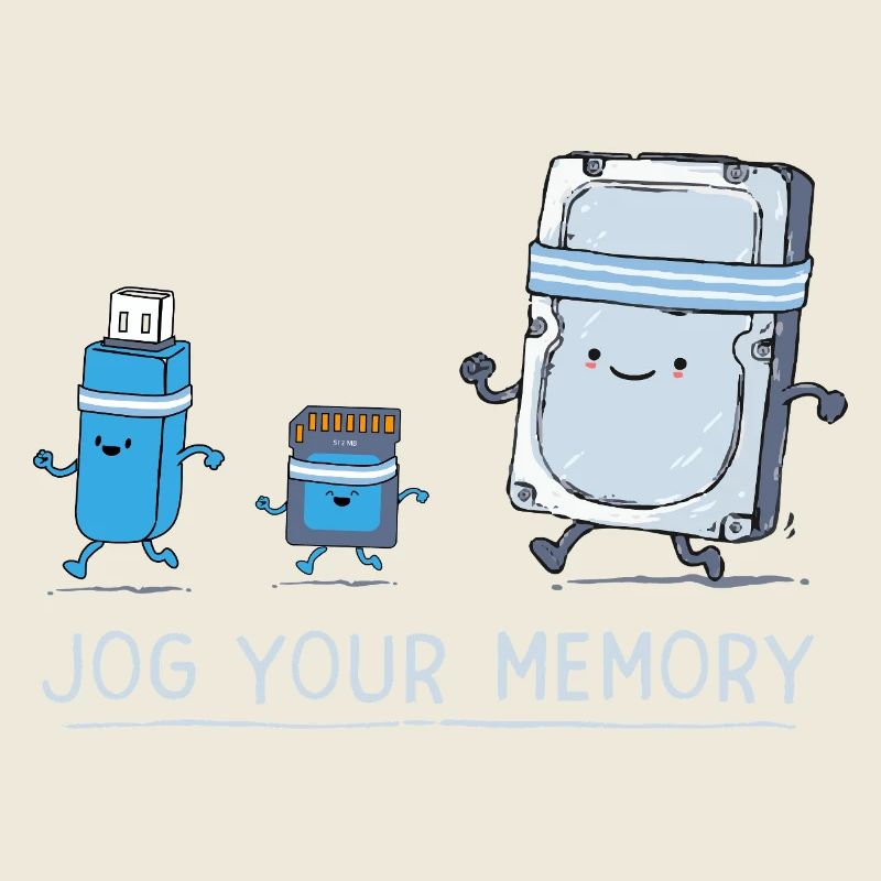 Software Engineer IT Support J-og Your Memory Gym 