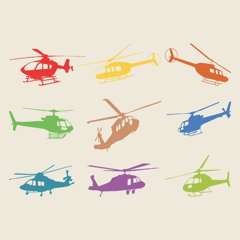 Helikopter Modellbau Pilot 
