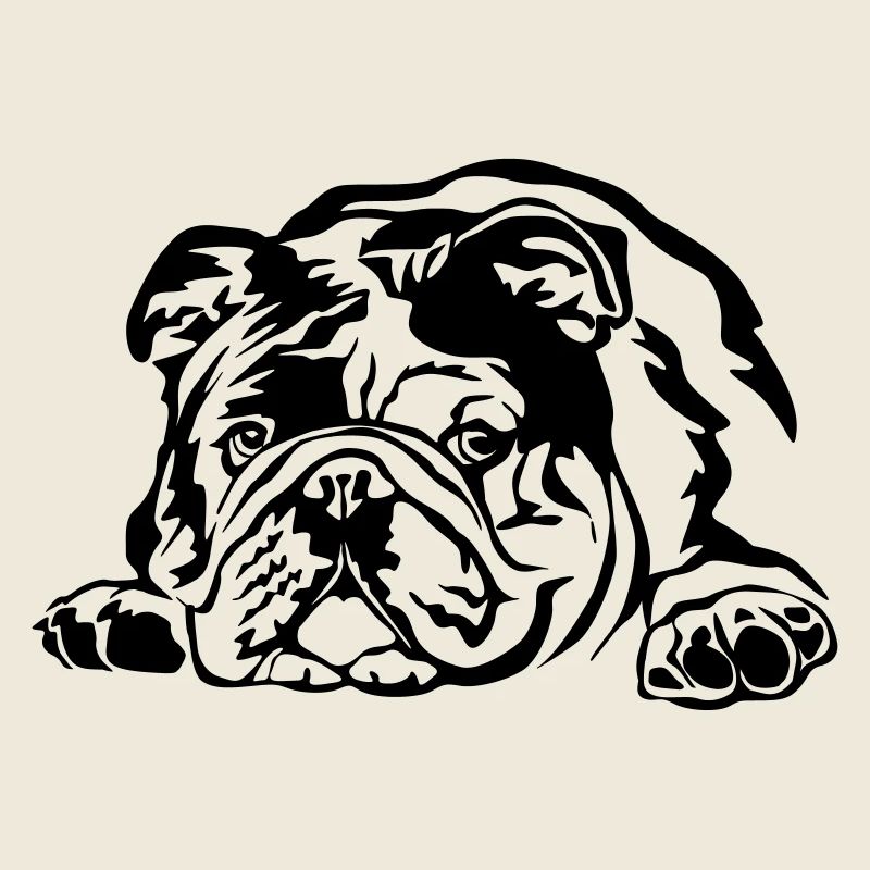 Bouledogue anglaise