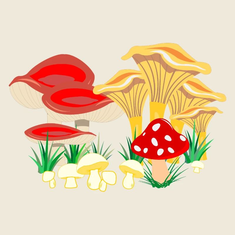Composition colorée des champignons