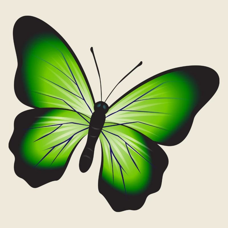 Ein schöner Schmetterling