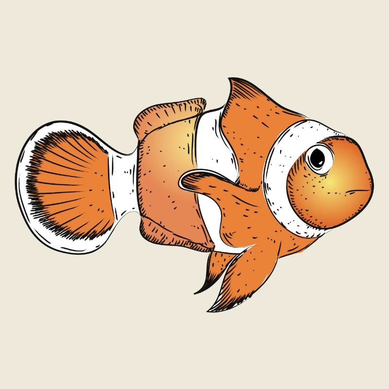 drawn clownfish in bright orange