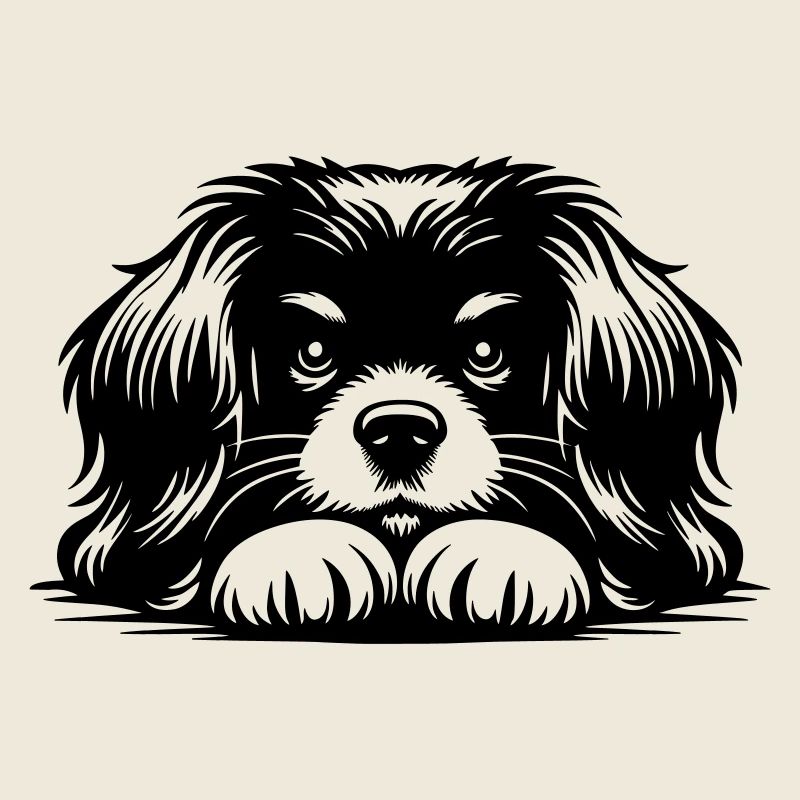 Tibetan Spaniel Head with Paws