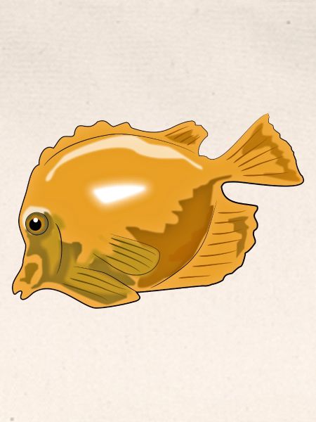 Fisch