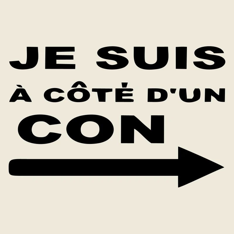 Je Suis À Côté D UN CON