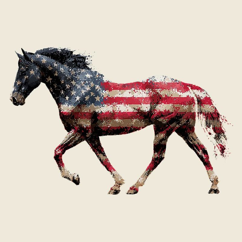 Drapeau des États-Unis de cheval