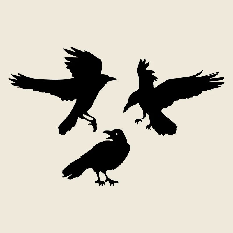Three raven crows
