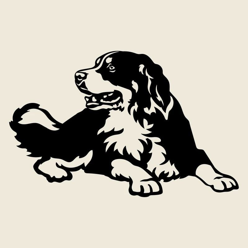 Bouvier bernois