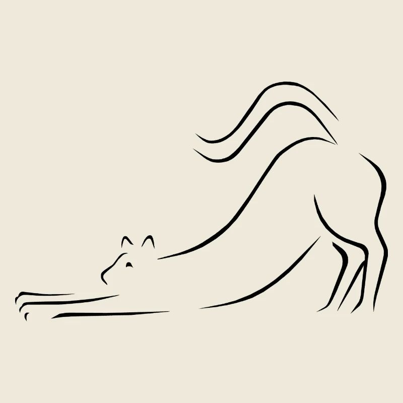 Katze