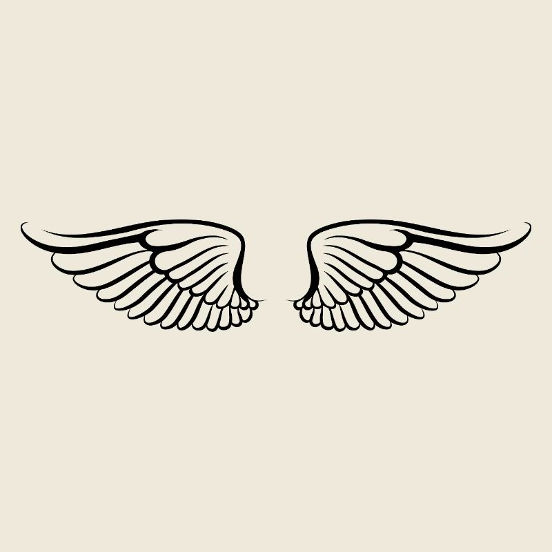 The wings