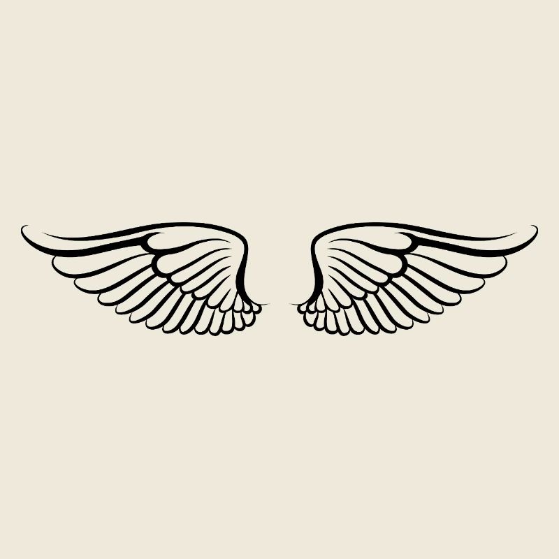 Les ailes