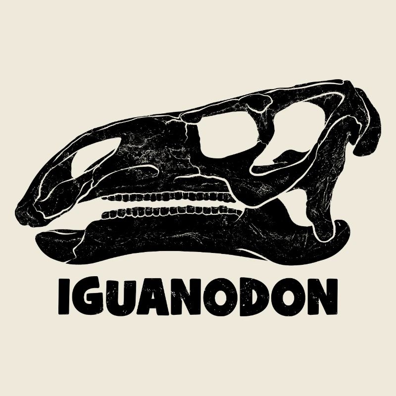 Fossile de crâne d’iguanodon