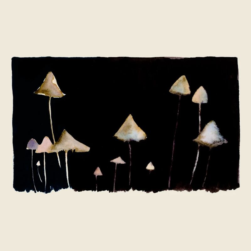 fungi