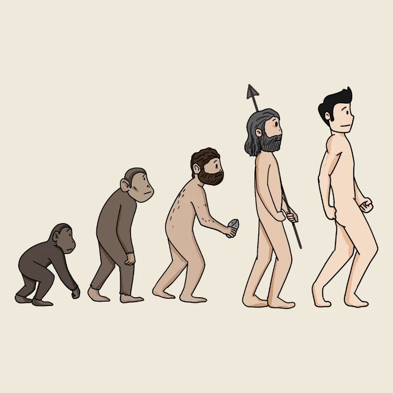 Human Development - Evolution Illustration