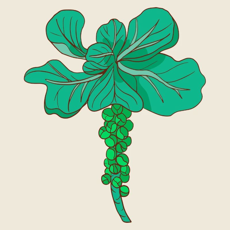 Brussels sprouts Brussels cabbage sprouts cabbage sprouts