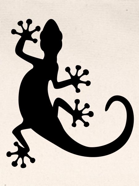 Gecko