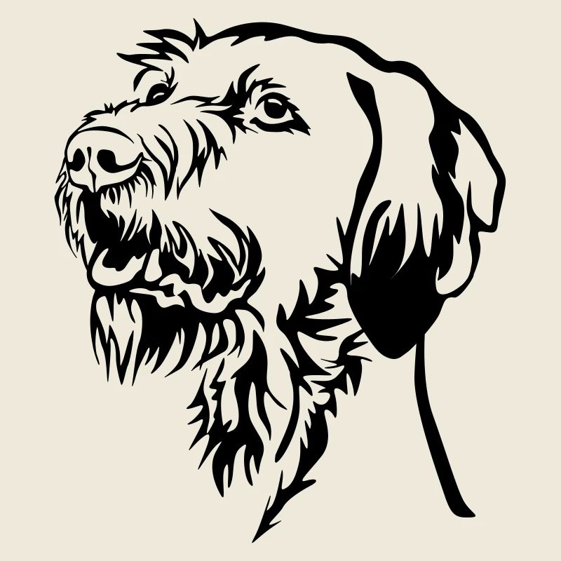 Magyar Vizsla head