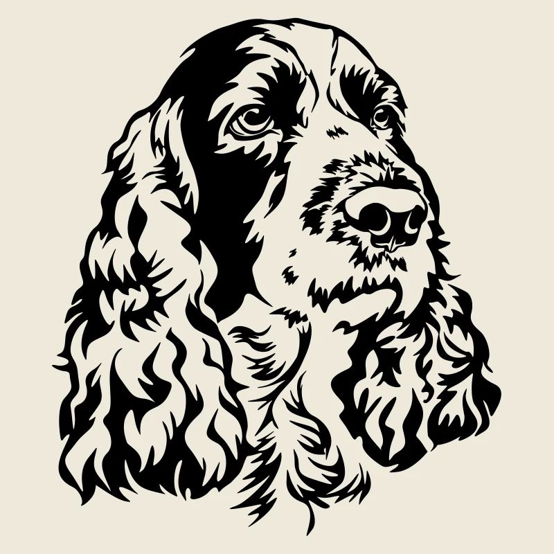 Englischer Springer Spaniel Kopf