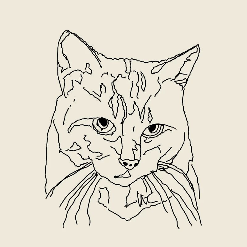 Katze