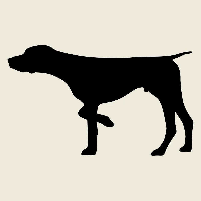 German Shorthaired Pointer