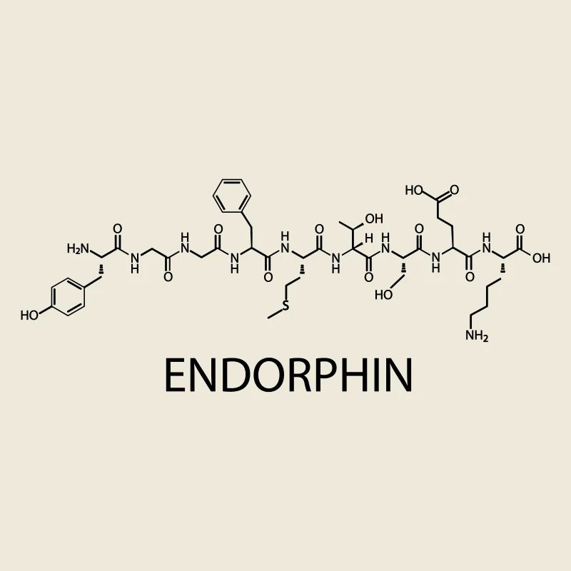 endorphine