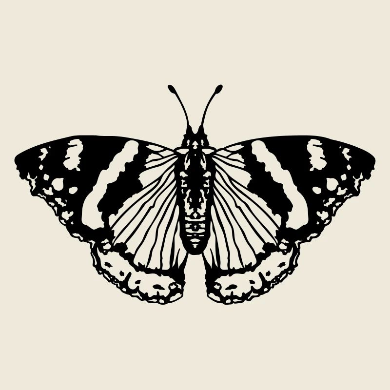 Schmetterling butterfly