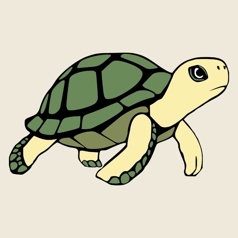 Turtle Turtles