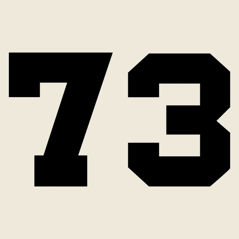 73-
