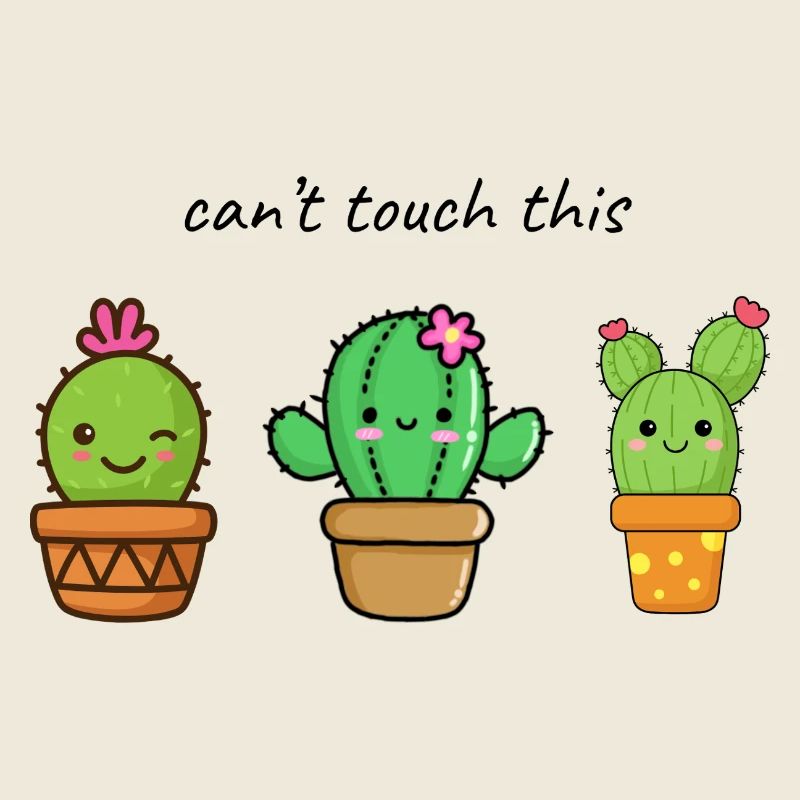 Mignons amis cactus dans le pot