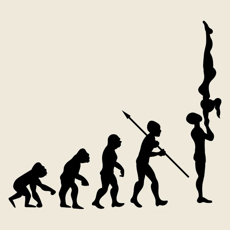 Evolution Gymnastics Gymnastics Acrobatics Gymnastics