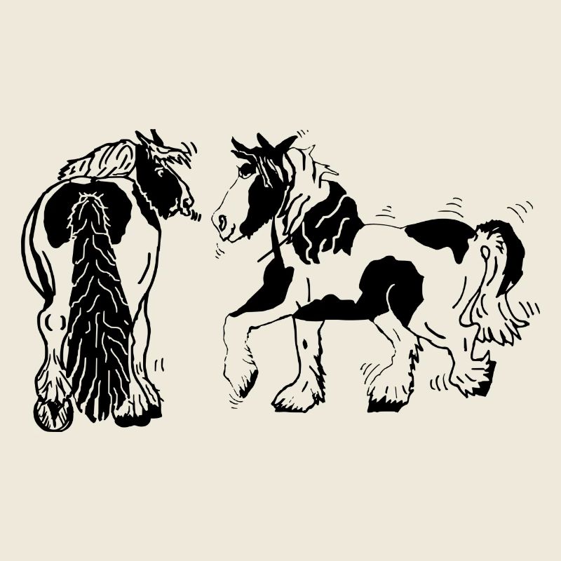 Cute Tinker Horses Equestrian