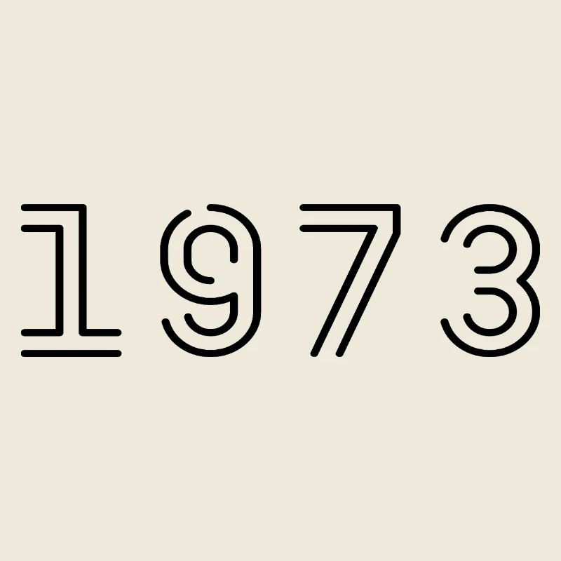 1973 Retro 1973 Gift 1973 Vintage 1973